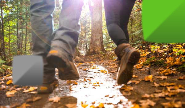 feet of people walking through the forest