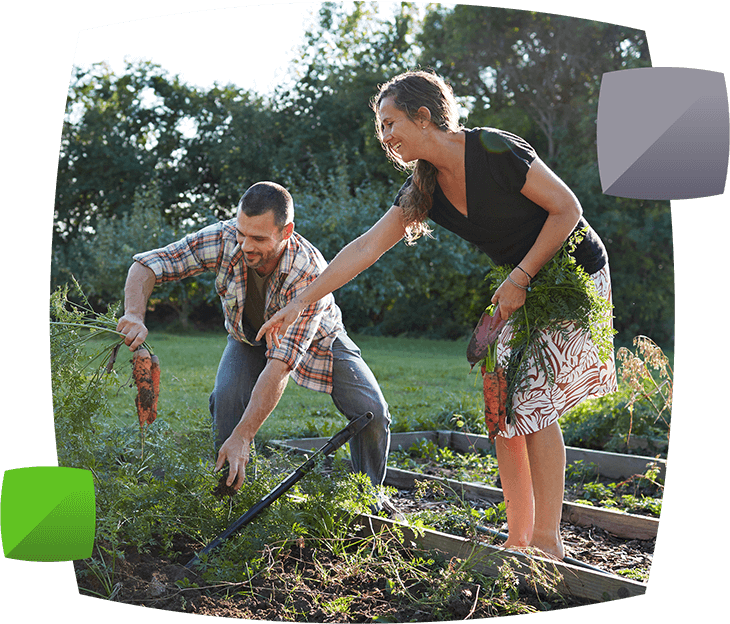 Couple in their allotment